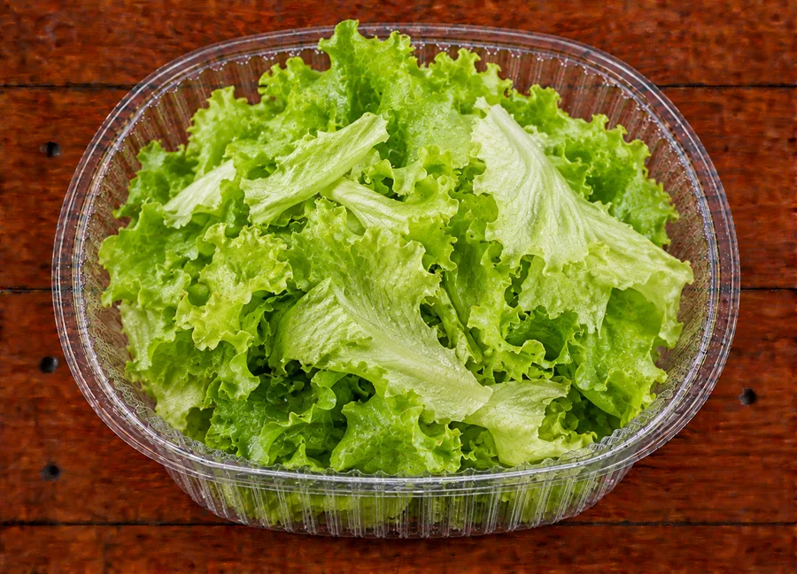 Lechuga